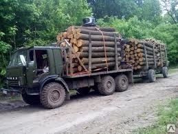 Фото Аренда лесовоза с прицепом