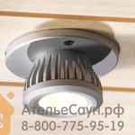 Фото №2 Светодиодная подсветка Tylo Led Sauna (12V/3W, 1 шт., одна лампа без трансформатора, арт. 90011088)