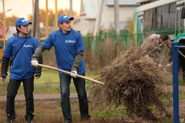 Фото Уборка территории.