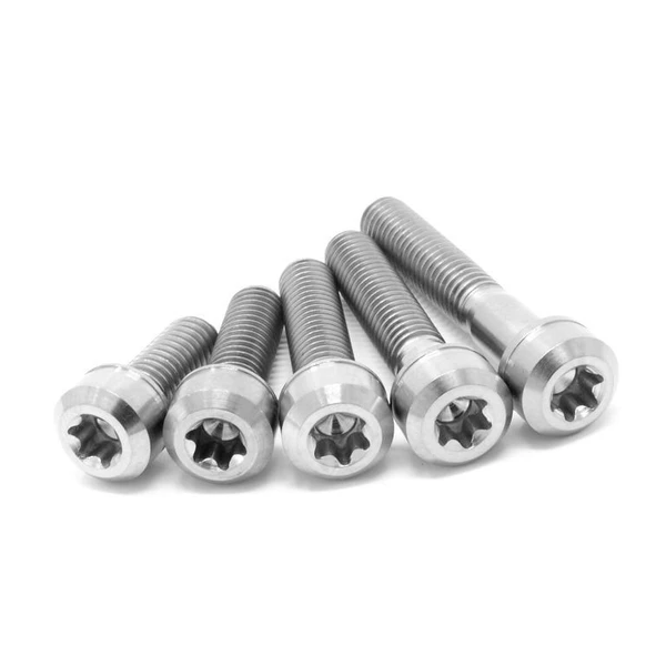 Фото Монтажный винт для KerraFront, 500шт INOX 3.5х35 T15 Torx