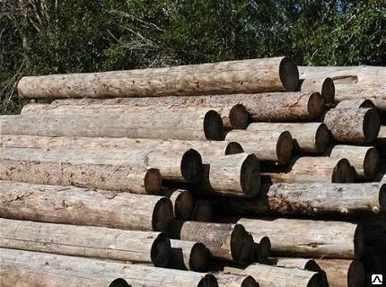 Фото Бревно из липы Logs of linden / Wholesale timber
в