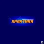 фото ПРАКТИКА Пика цилиндрическая SDS-max 18*400