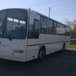 фото Автобус КАВЗ 4238