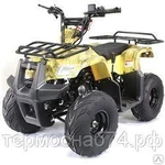 фото Квадроцикл ATV 110 RIDER