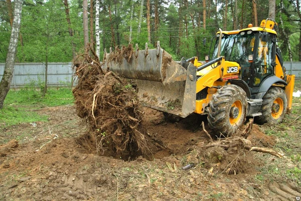 Фото Планировка территории участка