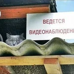 фото Установка видеонаблюдения.