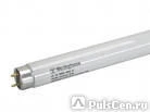 фото Люминесцентные лампы ЛЛ18 TLD 18/54-640 G13 Philips