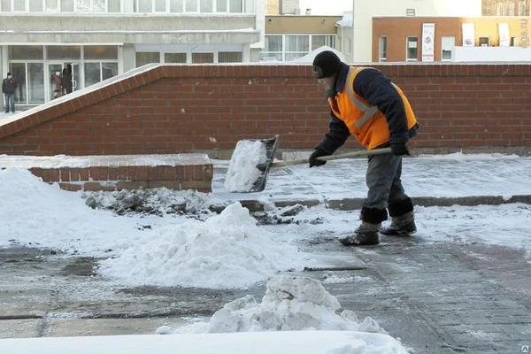 Фото Вывоз и уборка снега вручную