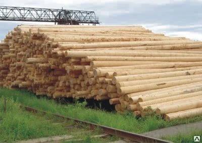 Фото Деревянные ОПОРЫ ЛЭП (столбы). пасынки, приставки