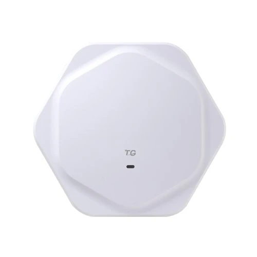 Фото Wi-Fi точка доступа TG-NET WA2306