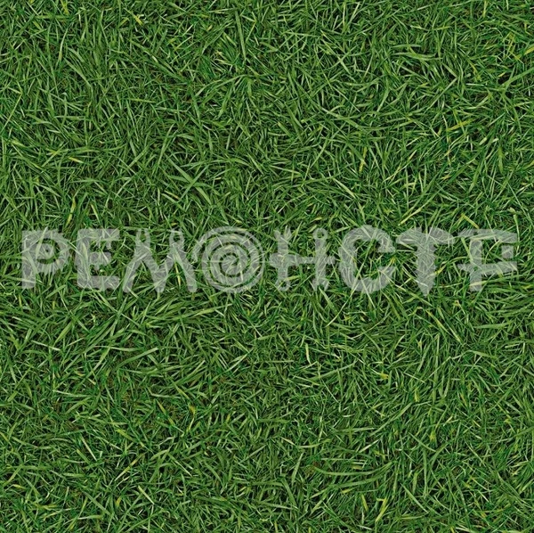 Фото Линолеум IVC VISION GRASS T25