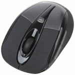 фото Мышь Gembird MUSW-002 Black USB