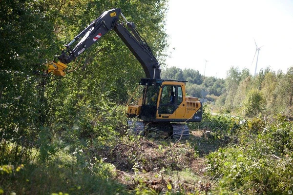 Фото Услуга по вырубке леса