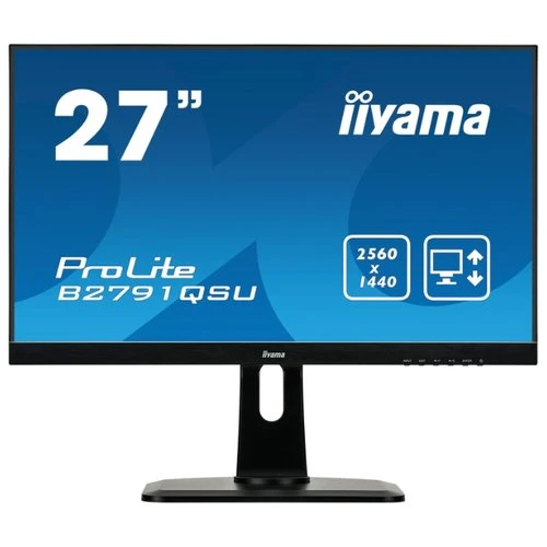 Фото Монитор Iiyama ProLite