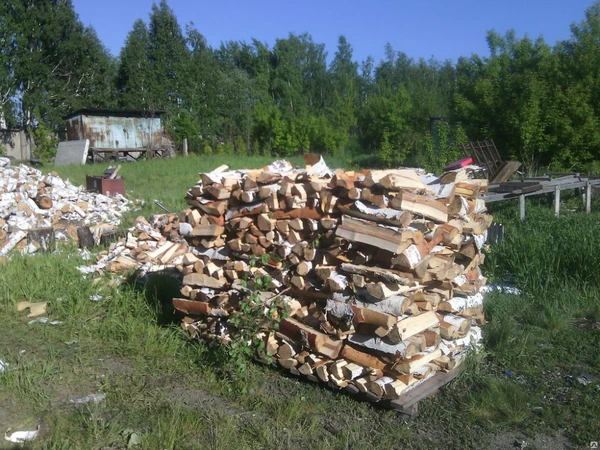 Фото Дрова березовые колотые