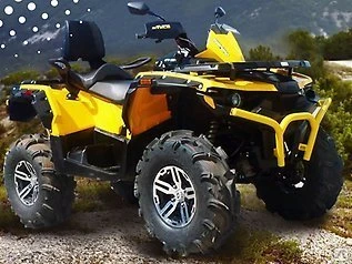 Фото Квадроцикл STELS ATV 850G GUEPARD Trophy