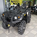 фото Квадроцикл STELS ATV 600 LEOPARD