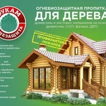 фото Огнебиозащита для дерева ФУКАМ - канистра 10 Л