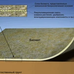 фото Биомат (биотекстиль, биополотно)