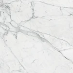 фото Керамический гранит KERRANOVA Marble Trend 600x600 Carrara K-1000/LR