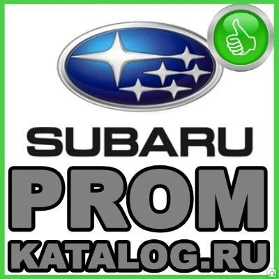 Фото Вибротрамбовка электрическая  Subaru