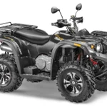 фото Квадроцикл STELS ATV 600 Leorard