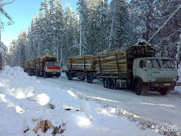 Фото Лесовоз камаз с прицепом