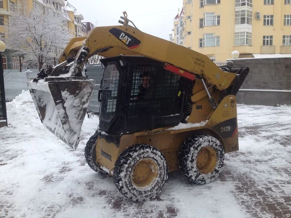 Фото Аренда мини-погрузчика Caterpallar