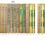 фото Балясины 50х50х900мм