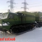 фото Витязь ДТ-10П