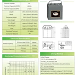 Фото №3 Тяговый аккумулятор LEOCH (UPLUS) DT 146 6v 260ач