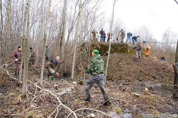 Фото Вырубка кустарников и деревьев