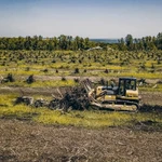 Фото №4 Корчевание пней, деревьев, лесополос, садов