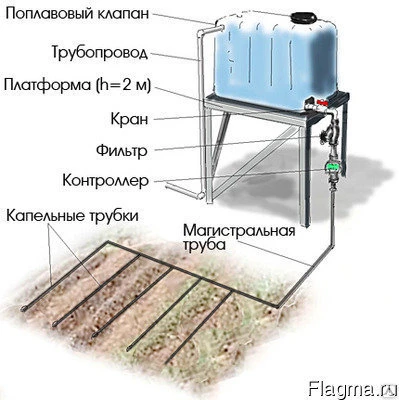 Фото Капельный полив