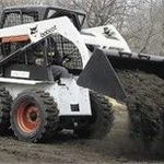 фото Аренда минипогрузчика Bobcat 753