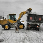 фото Снегоуборочный погрузчик XG 342 в аренду