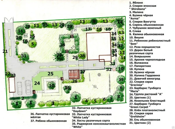 Фото Разработка дендроплана участка с ассортиментной ведомостью.