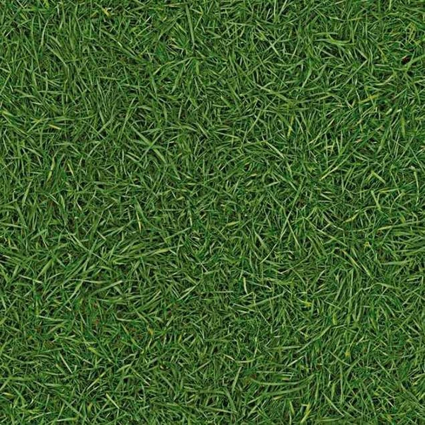 Фото Линолеум коммерческий IVC VISION Grass T25, 3м