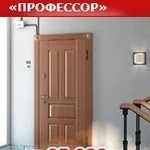 фото «Профессор» – входные двери бизнес-класса.