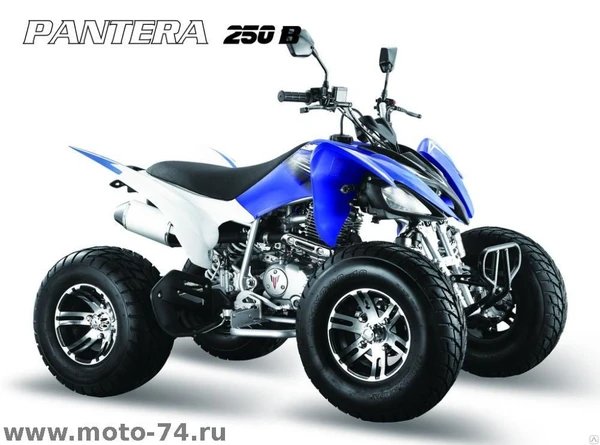 Фото Квадроцикл PANTERA 250 SUPER SPORT