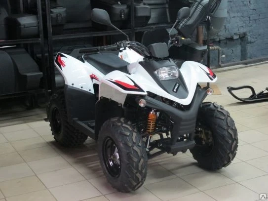 Фото Квадроцикл STELS ATV 100RS