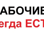 Фото №3 Снос дома, демонтаж  зданий, расчистка участка, планировка участка.