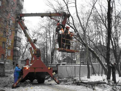 Фото Спил и обрезка деревьев