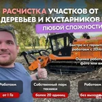 фото Расчистка заросших полей от деревьев от 1 Га