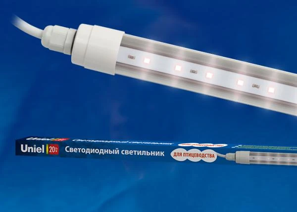 Фото ULY-P61-20W/SCEP/K IP65 DC24V WHITE Светильник для птиц светодиодный линейный, 1250мм, c коннектором. Спектр для яйценоскости. TM Uniel.