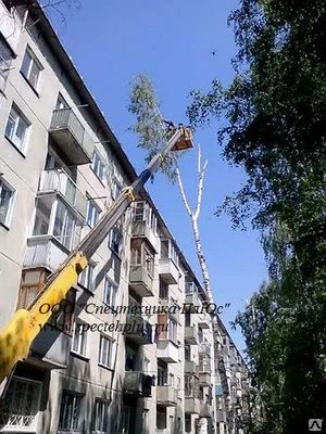 Фото Аренда автовышек, самосвалов и др. От собственника.