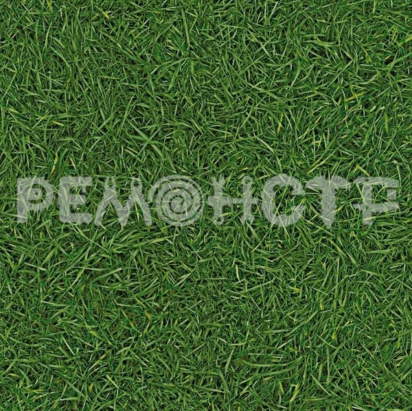 Фото Линолеум IVC NEO GRASS 25