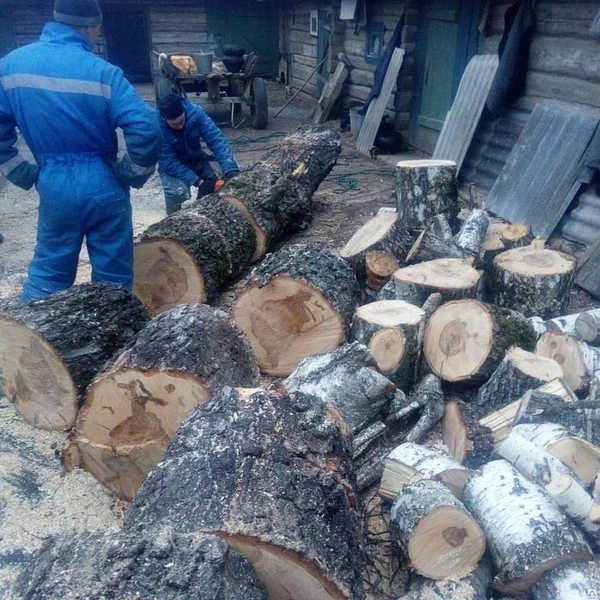 Фото Удаление деревьев