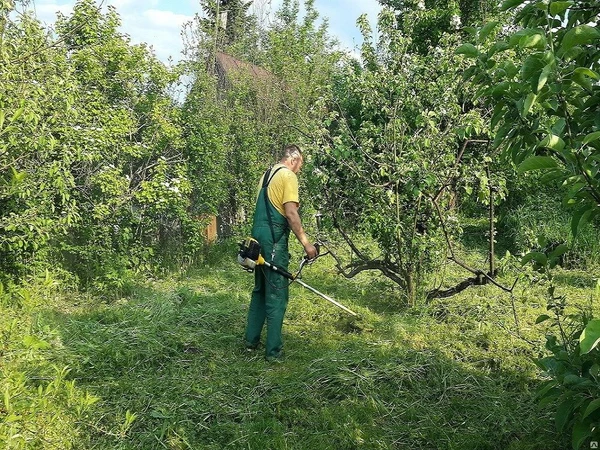 Фото Покос травы