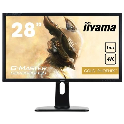 Фото Монитор Iiyama G-Master